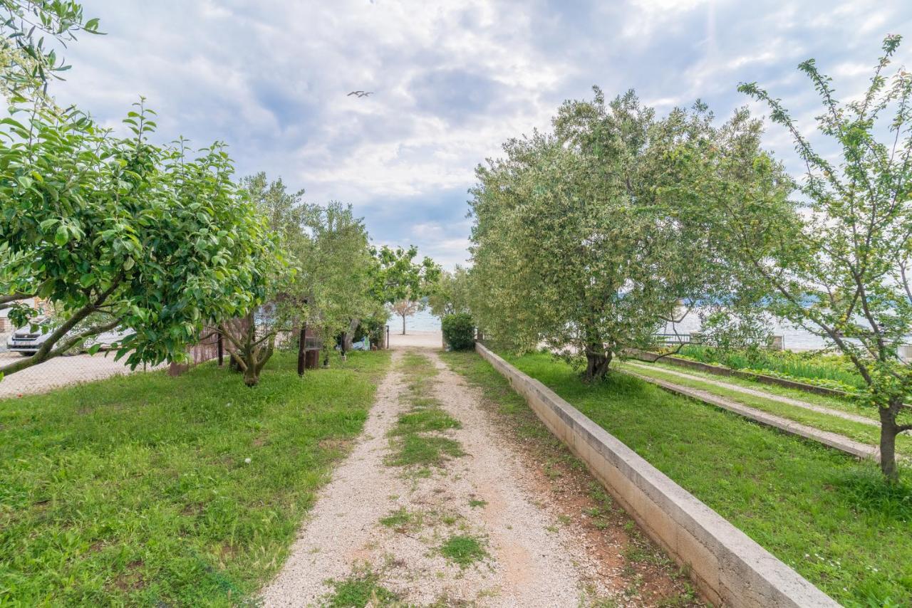 Apartments Bepina Biograd Na Moru Eksteriør billede